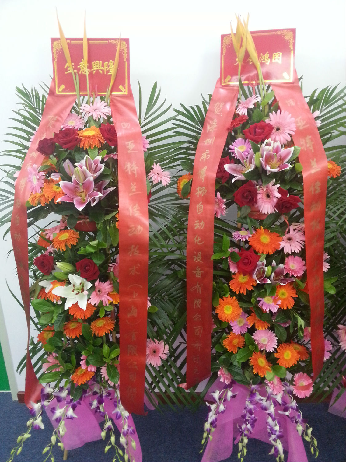 亞特蘭傳動 亞特蘭傳動