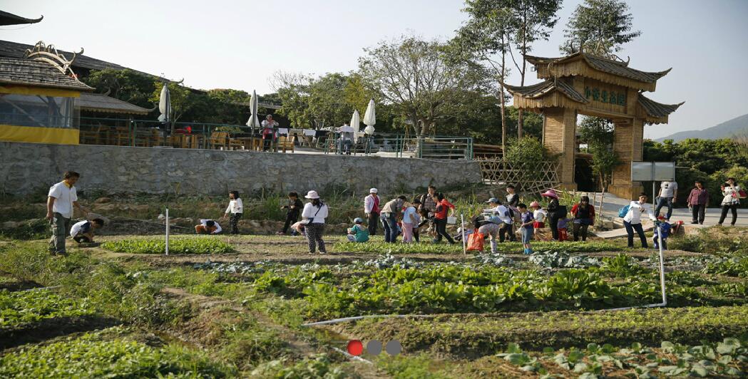 春暖花開,我們去春游!